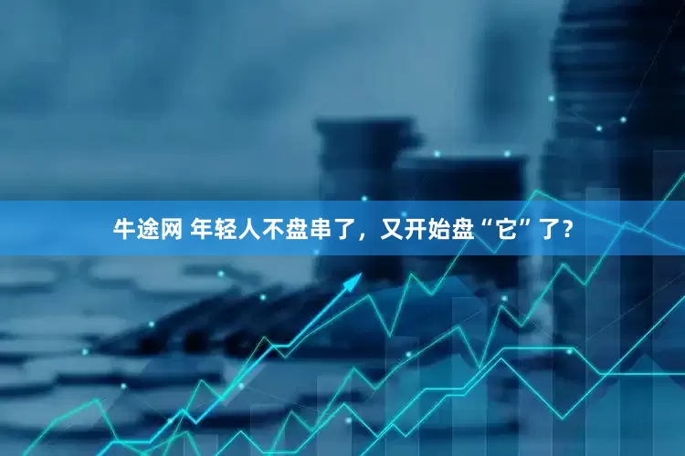 牛途网 年轻人不盘串了，又开始盘“它”了？